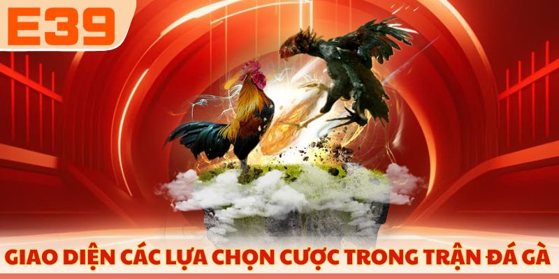 Giao diện các lựa chọn cược trong trận đá gà